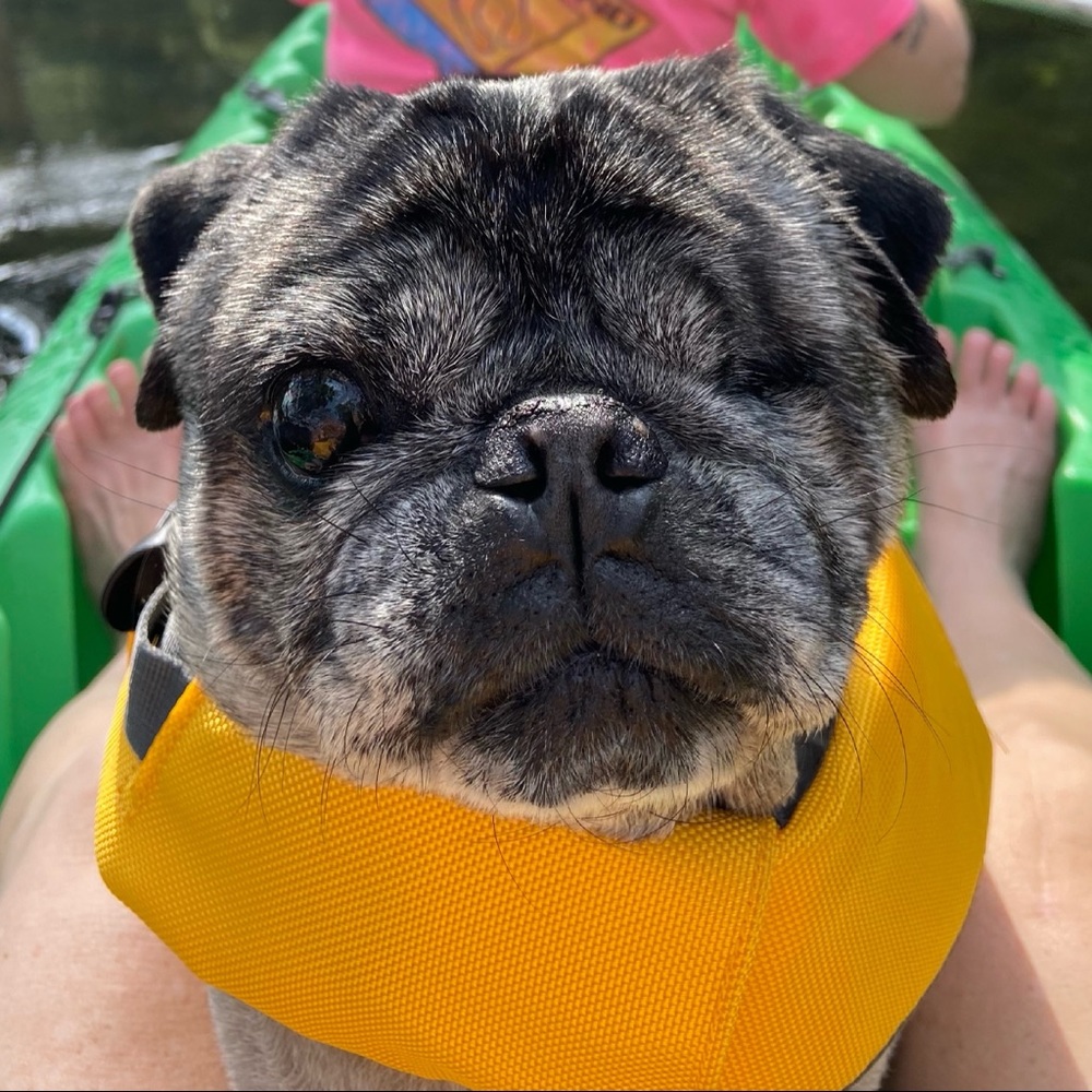 Meet your Posher, Connie